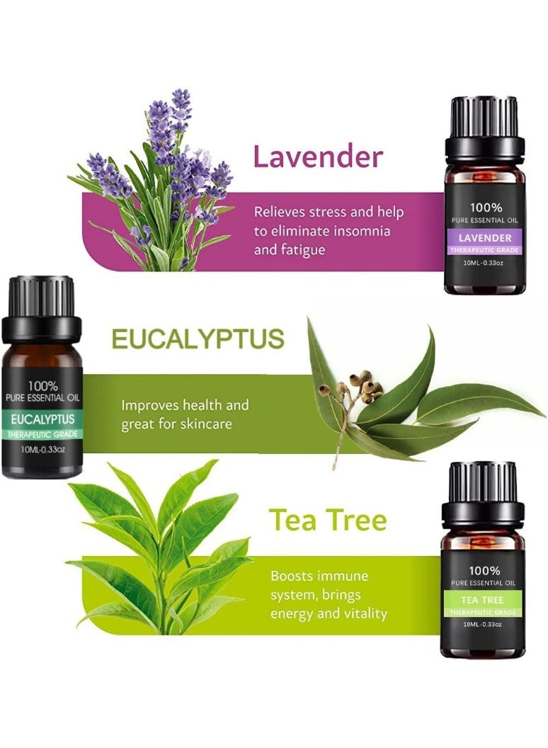 ChicAbode مجموعة زيوت عطرية مكونة من 6 قطع، زيوت نقية 100%، مجموعة هدايا زيوت العلاج العطري، لأجهزة التبخير، وأجهزة الترطيب، والتدليك، والعلاج العطري، وصناعة الشموع، والعناية بالبشرة والشعر، 10 مل - Image 3